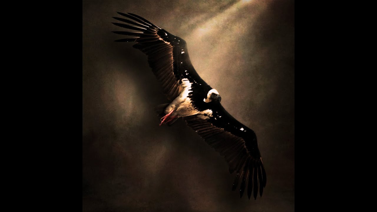 [FREE] KANYE WEST X PLAYBOI CARTI X VULTURES 2 TYPE BEAT - CARNIVAL 2