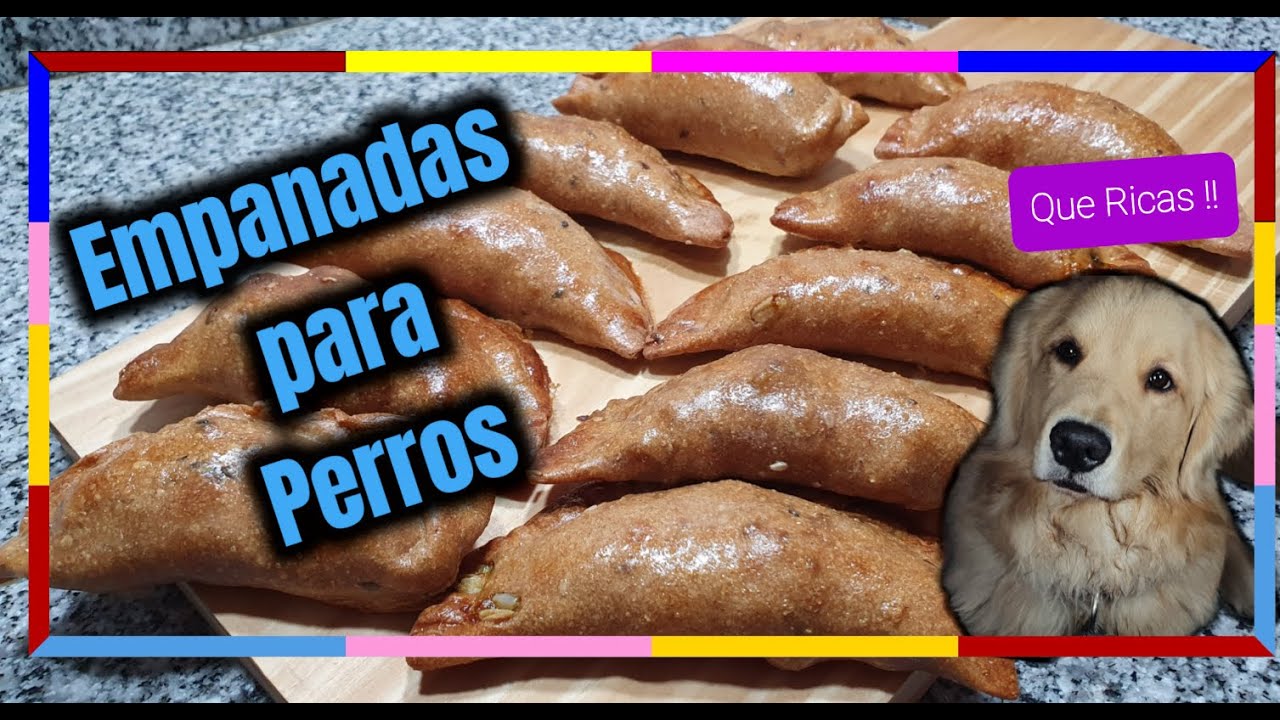 🥟🐕‍🦺Empanadas De Carne Aptas Para Perros Masa hecha con Harina Integral!