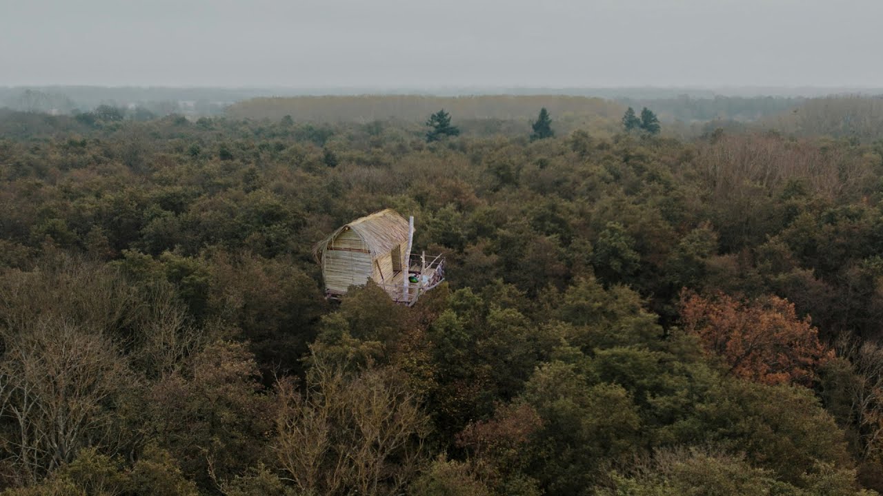 Building The Most Amazing House on Top of the Tree
