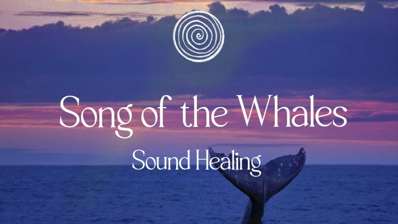 Linea I Song of the Whales I Sound Healing I Live Loop recording