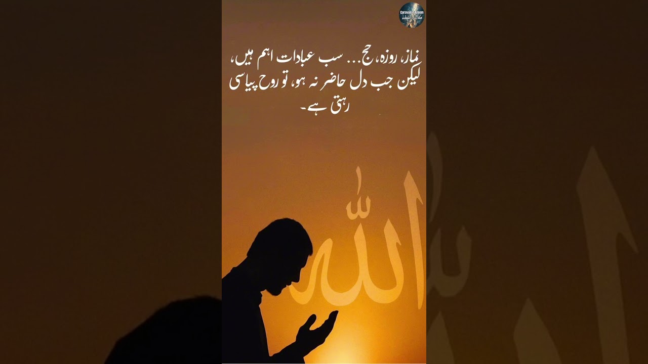 #SufiWisdom #Zikr #Spirituality #IslamicReminders #CarvanEAzeem #Azeemia #BabaJeeQuotes#Tasawwuf