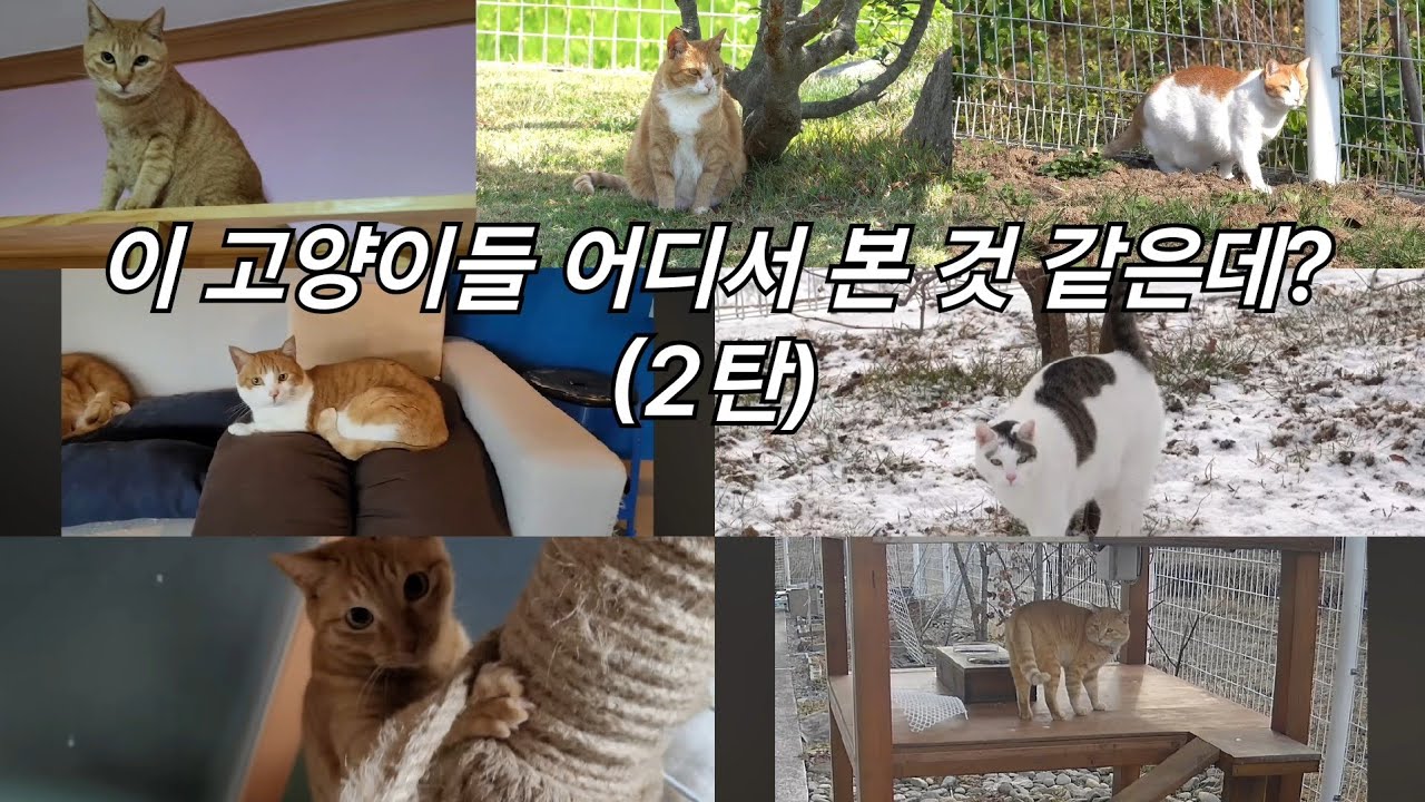 닮은꼴 부자들 @Metalnam