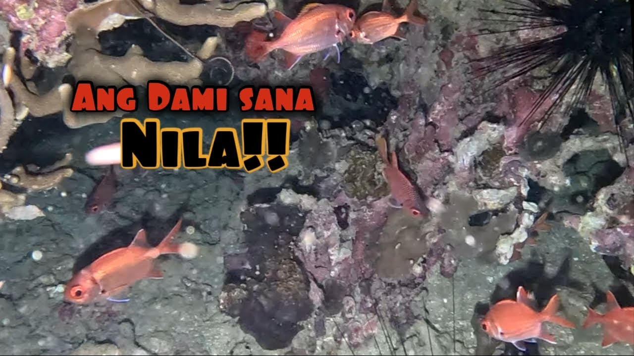 Sila Ang pag asa ng katagatan😍😅