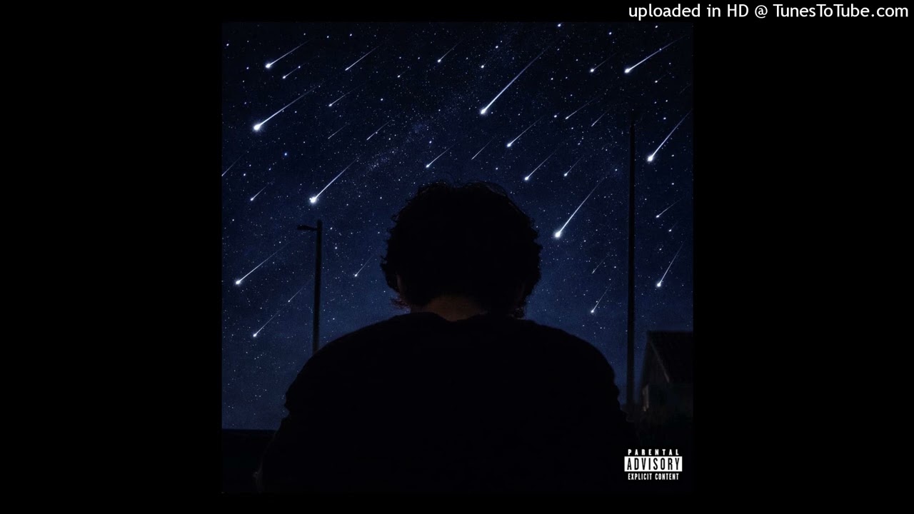 1vicedg - Fool