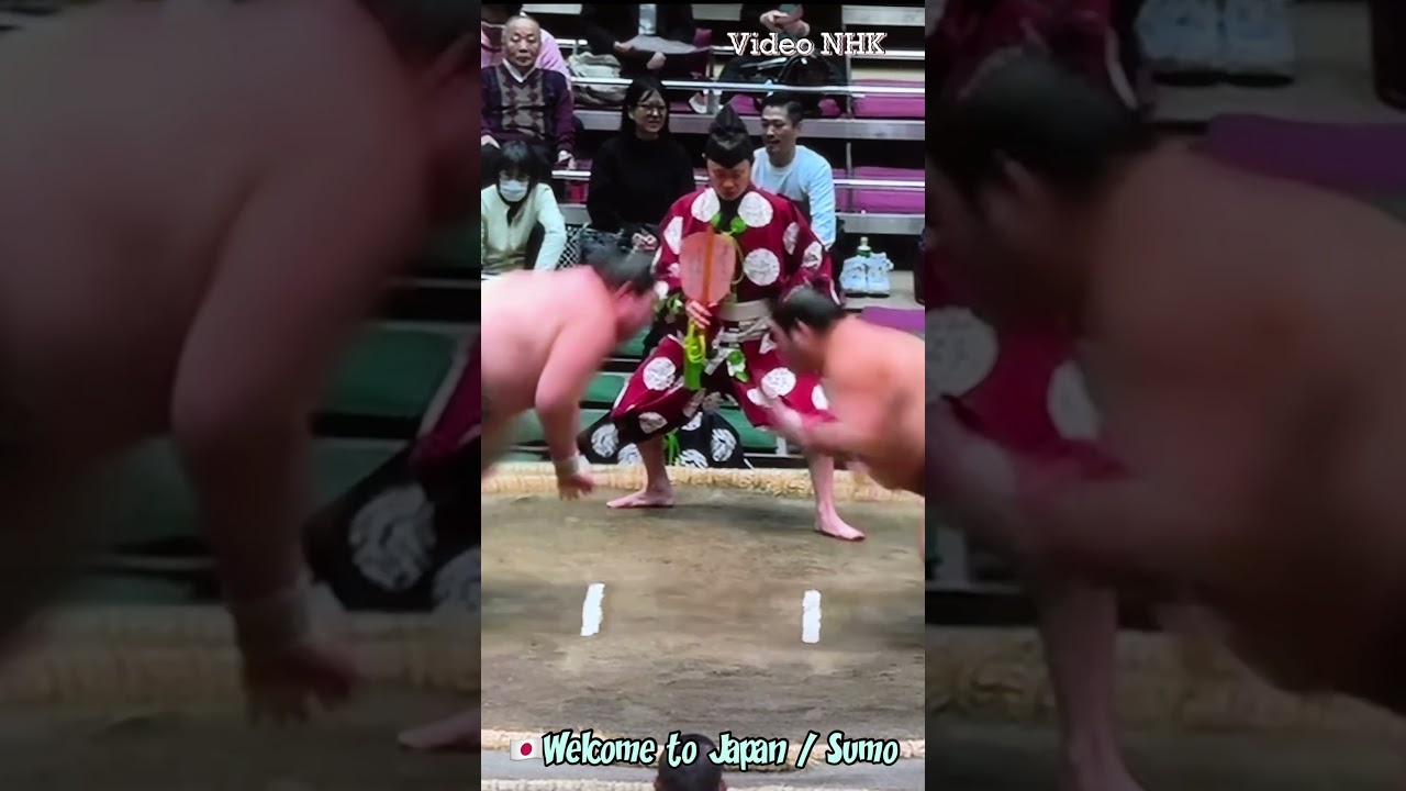 🇯🇵Traditional Japanese Culture★Sumo/相撲 