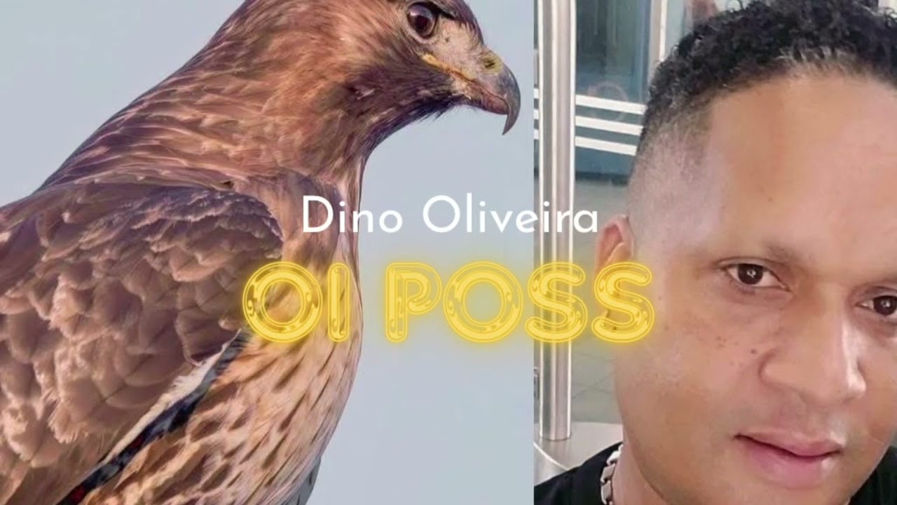 Dino Oliveira - Oi Poss