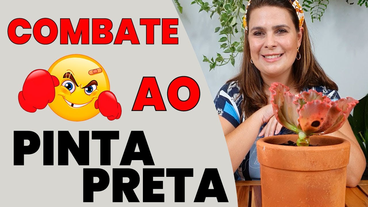 Fungo Pinta Preta nas minhas suculentas /Grazi Bittencourt