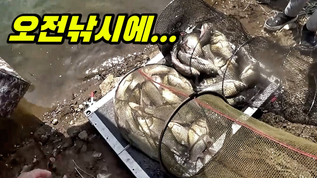 Bomb~!!!  70 carps in the morning!