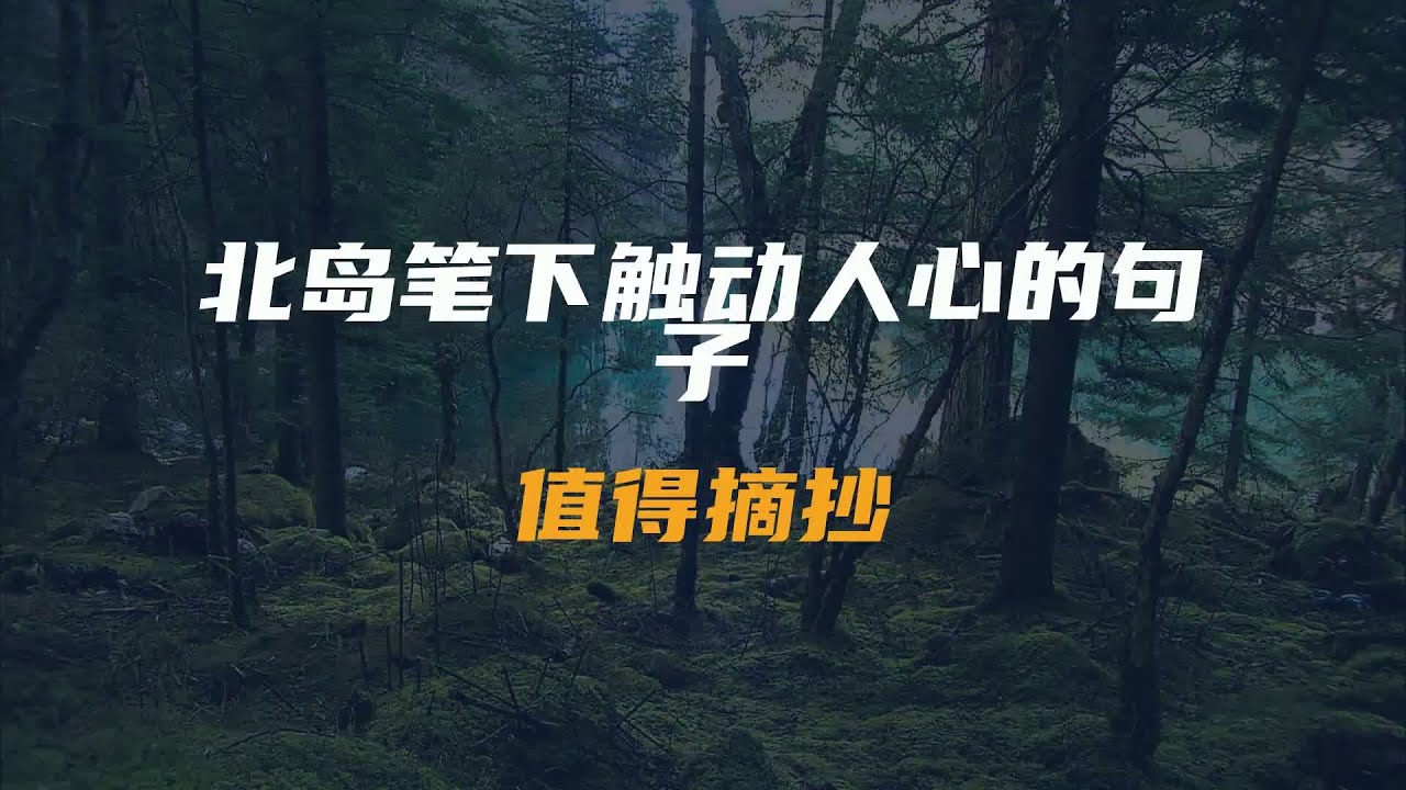 北岛笔下触动人心的句子，值得摘抄