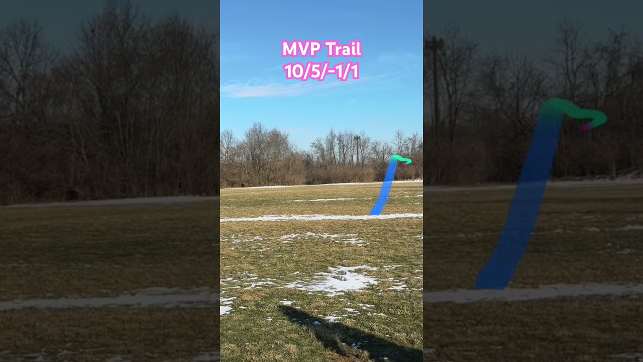 MVP Trail / Best Disc of 2024 / Faster Crave 