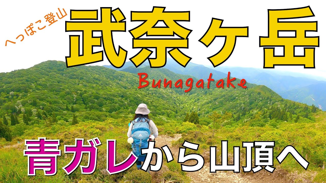 【滋賀県】武奈ヶ岳 🔹イン谷口〜青ガレ〜金糞峠〜山頂〜八雲ヶ原〜北比良峠〜ダケ道 2023.05.27