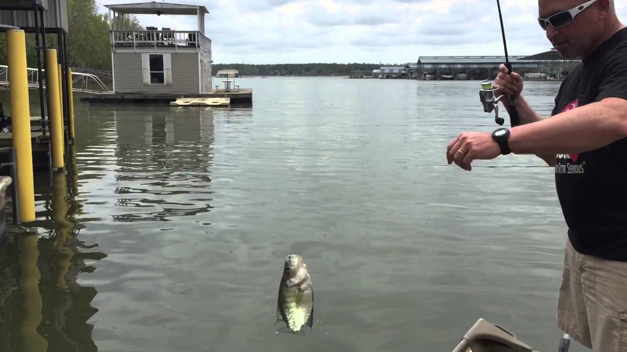 Go Go Minnow tail action = More Crappie!