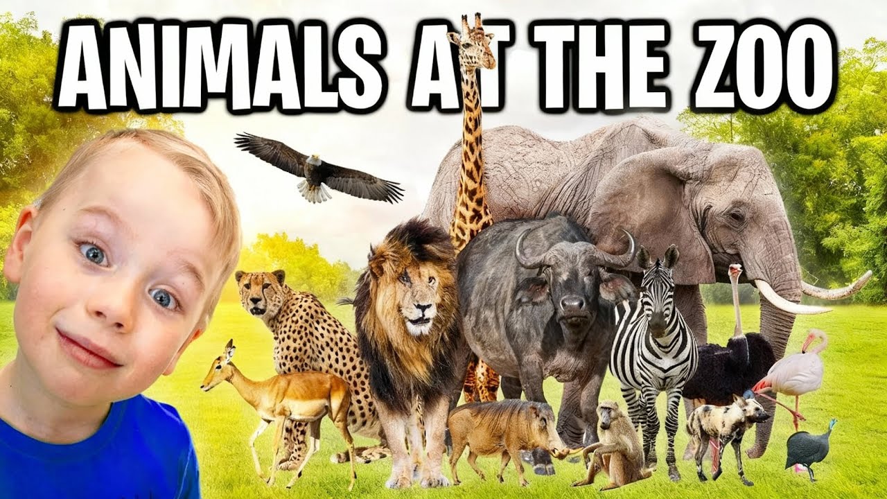 Gaby and Alex feed animals at the ZOO + more Wild Animals
