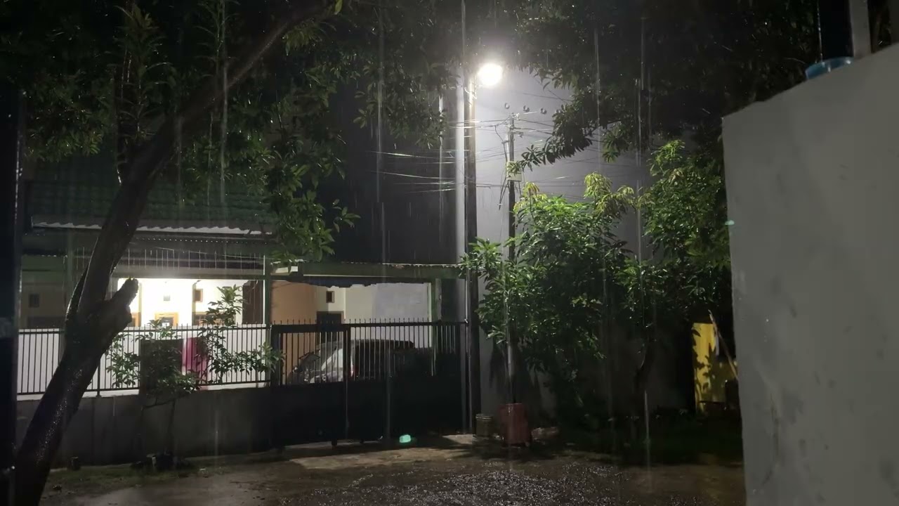 Relaxing Raining Fall Asleep Immediately in 3 Minutes,Torrential Rain on Tin Roof of house,Leaves