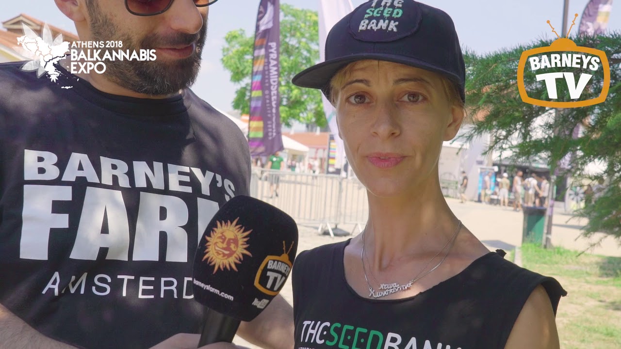 Barneys Farm @ Balkannabis 2018 Athens - Barneys TV