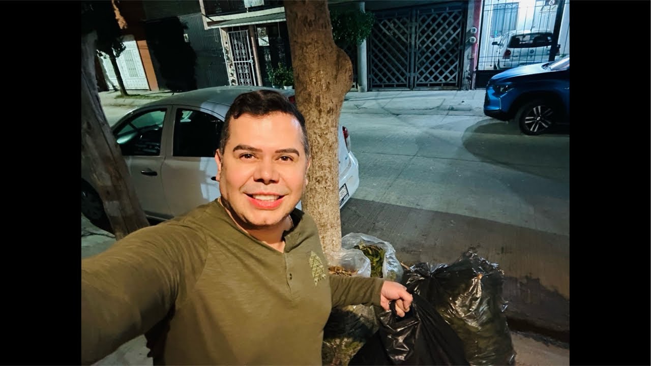 Podando y arreglando mi jardín 🪴