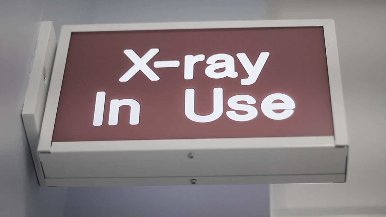 Spay Complications on a Cat - Animal Emergency & Specialty Hospital