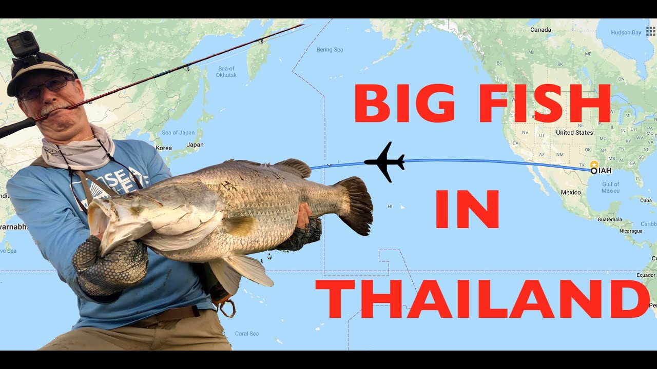 Big Fish and Celebrating New Year in Thailand!