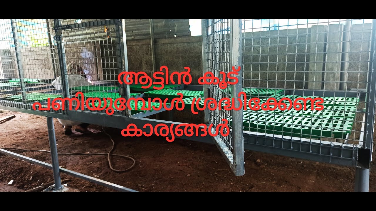 Hitech Goat Cage. ആട്ടിൻ കൂട് പണിയുമ്പോൾ ശ്രദ്ധിക്കേണ്ട കാര്യങ്ങൾ.