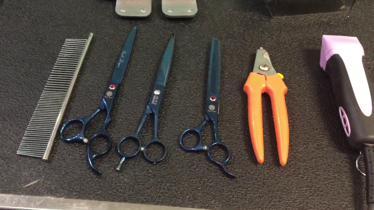 Grooming starter kit for beginners