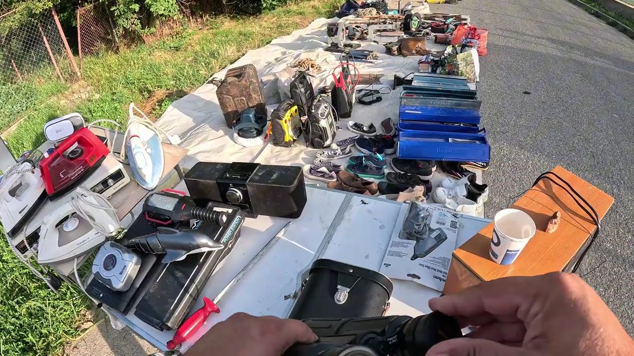 TU CE-AI FI FACUT? L-ai fi lăsat să le cumpere sau ai fi procedat ca mine?