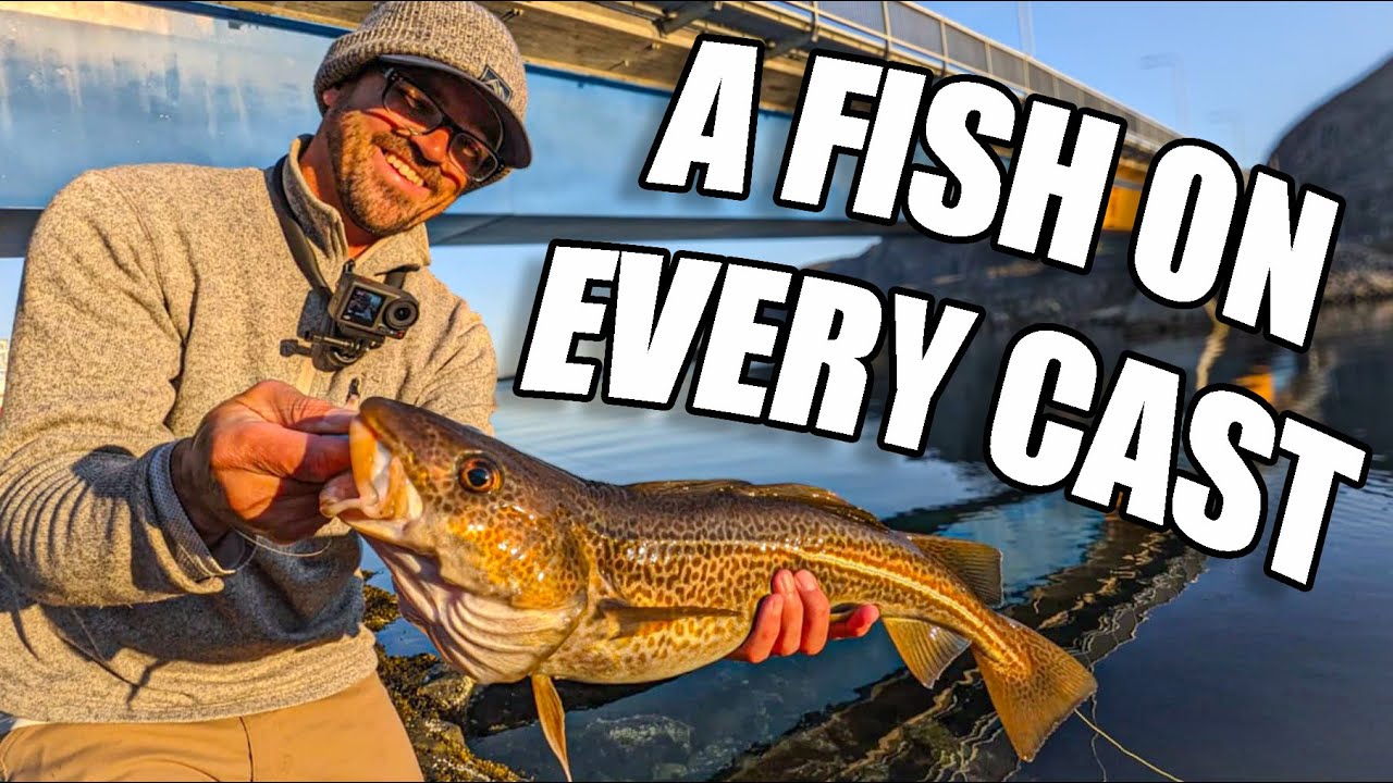 Arctic Cod Catch and Cook Adventure