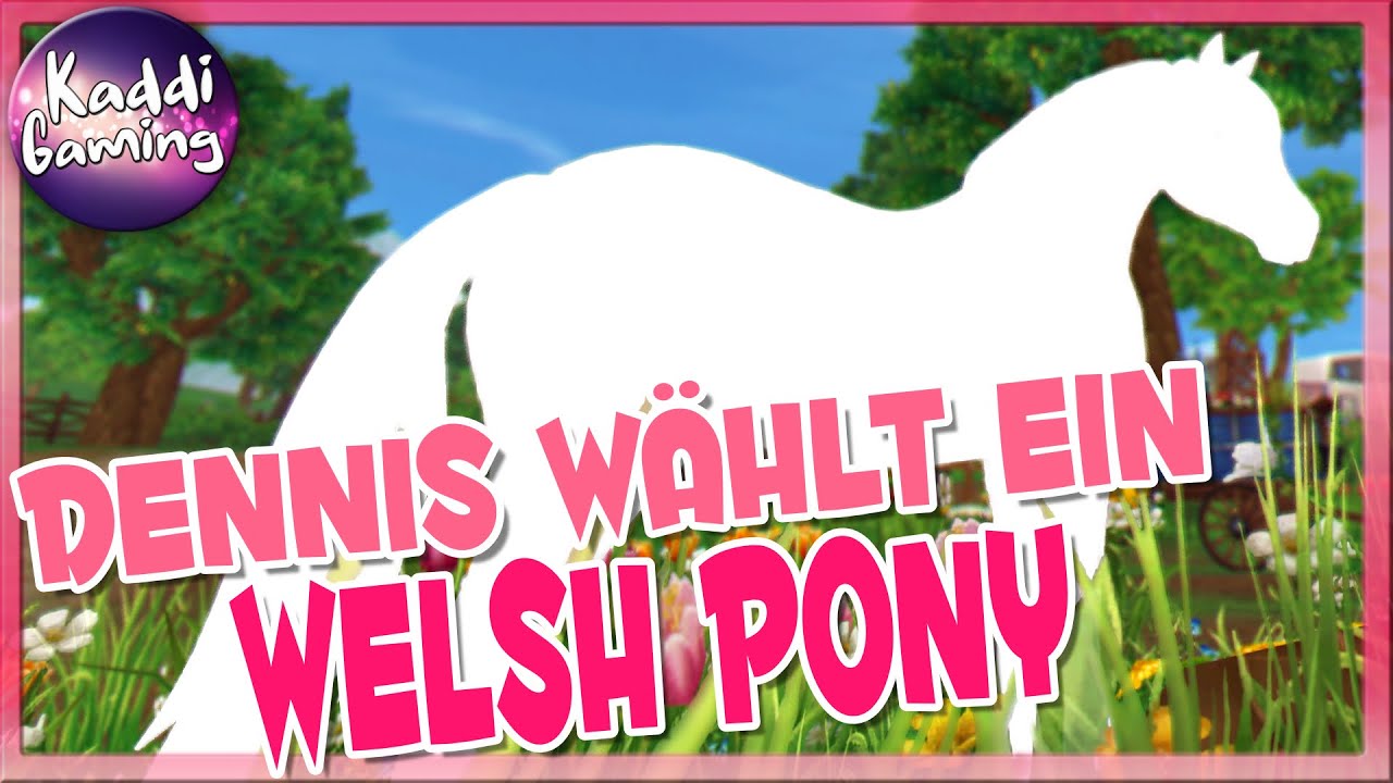 Welches Welsh wählt 𝐃𝐄𝐍𝐍𝐈𝐒? - 𝑷𝑭𝑬𝑹𝑫𝑬𝑲𝑨𝑼𝑭 🐴 Star Stable Online #624