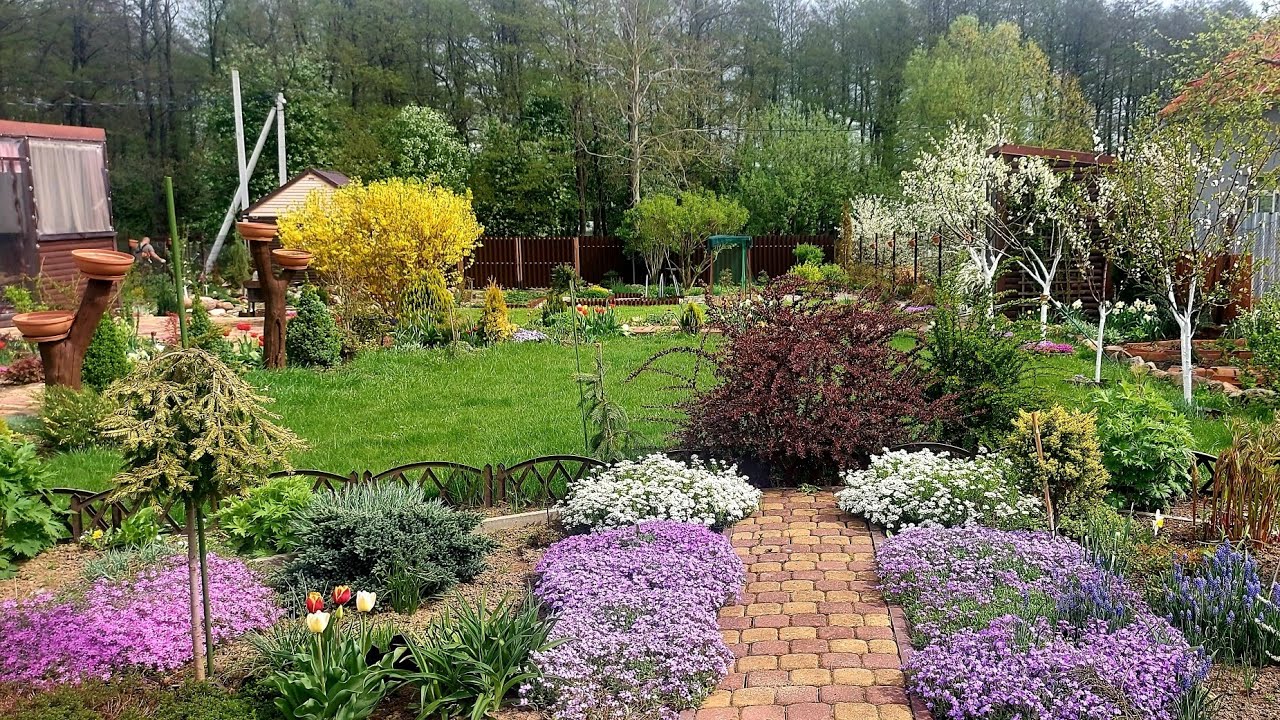 Дача в конце апреля  прекрасна, спору нет!!!🌞🌲🌸🍀🤗