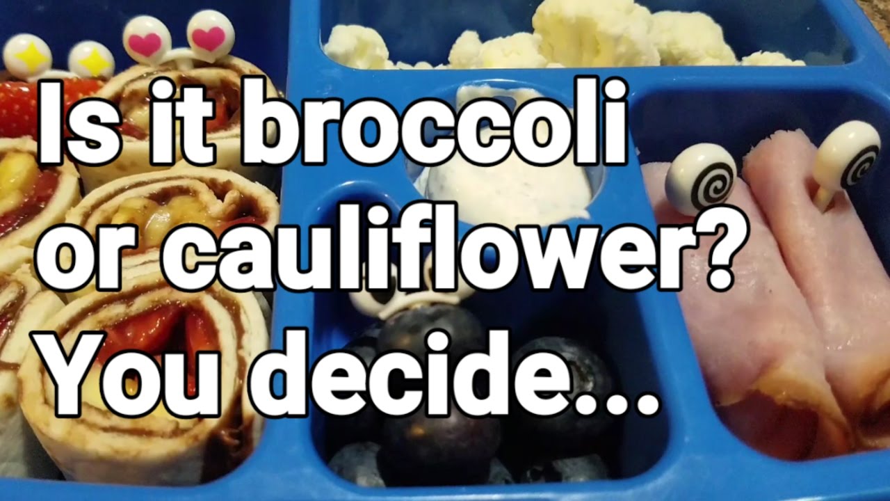 Week 26 - How I make my kindergartner's lunches - Bento Box Style