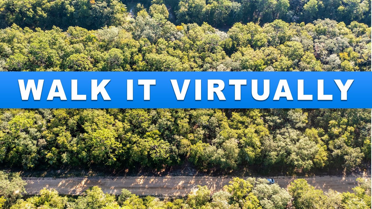 Walk Your Florida Land From Your Living Room (Virtual Tour) (Live Florida Land Review)