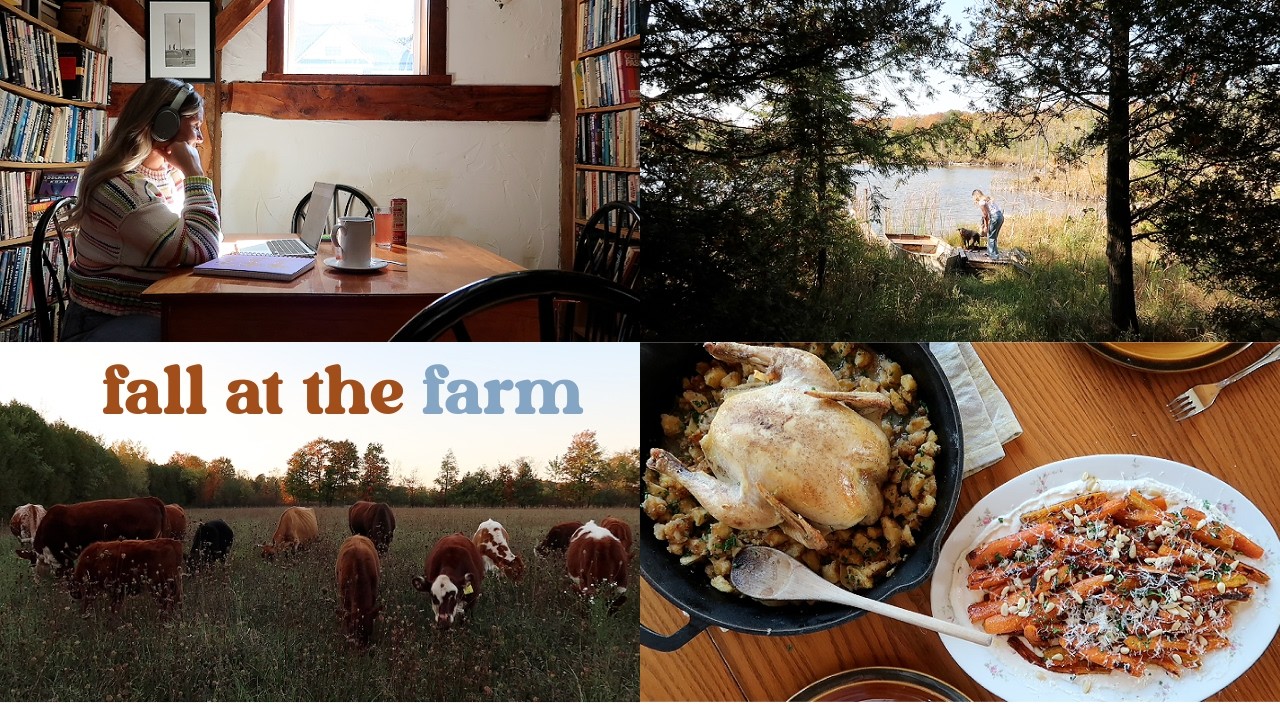 autumn has arrived at the farm! 🍂 seasonal recipes & cozy vibes at home