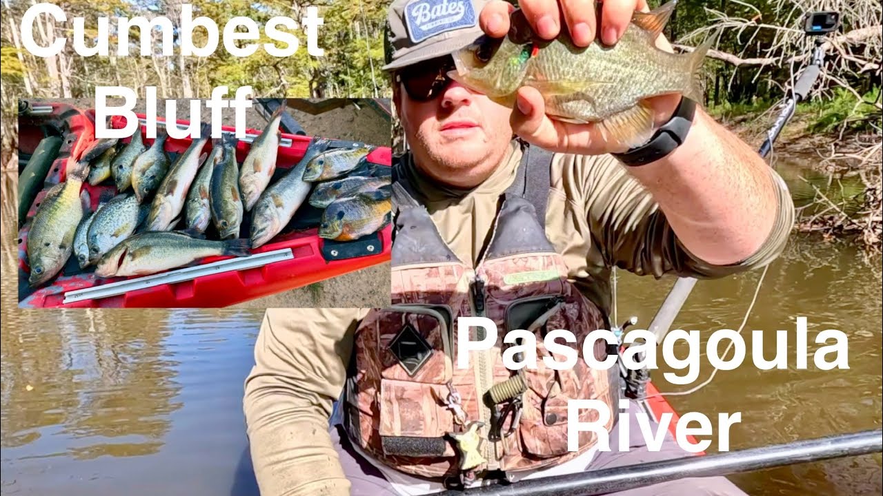 Bass, Crappie, and Bream On The Pascagoula River Out of Cumbest Bluff
