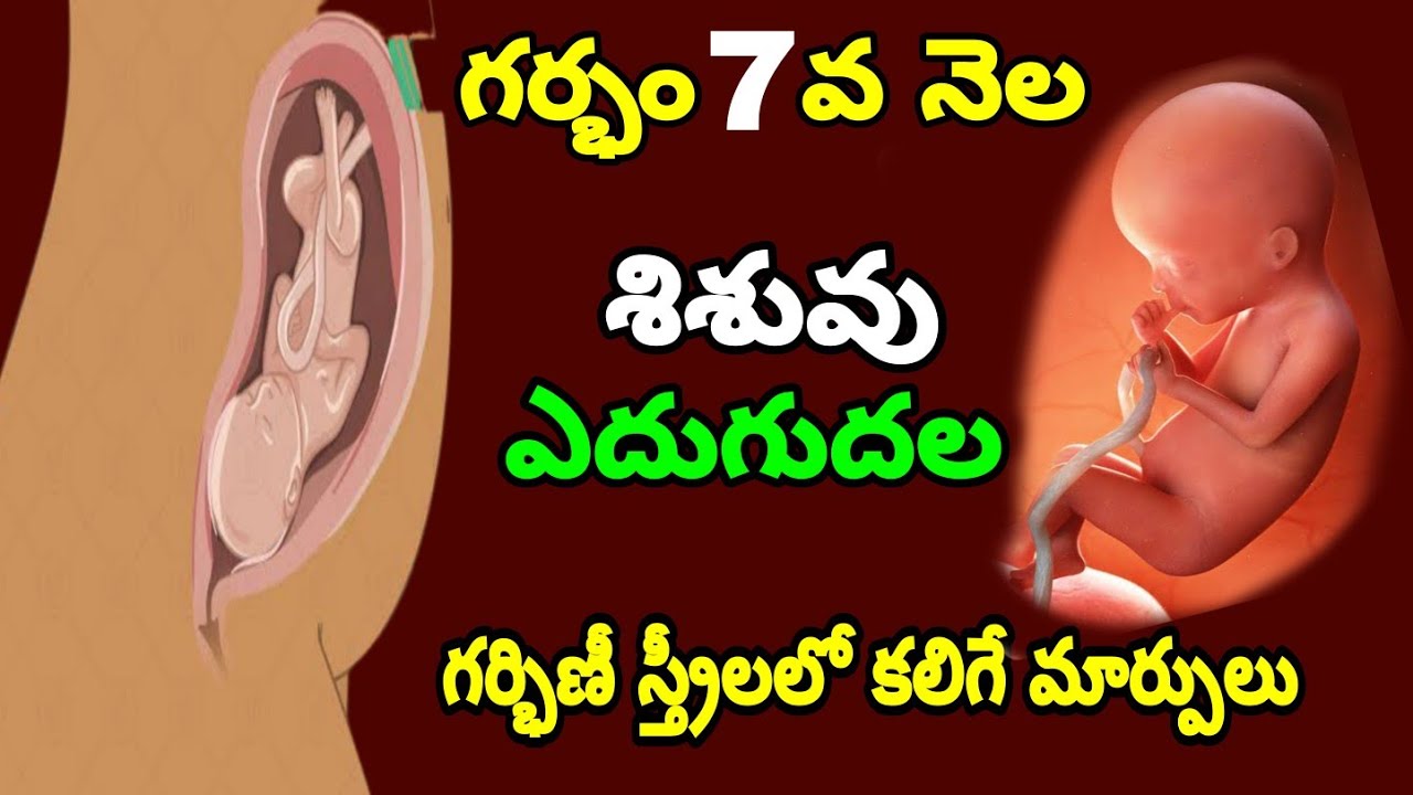 7th Month of Pregnancy Baby Growth & Mother Care | Pregnancy 7th Month Symptoms | 3rd Trimester