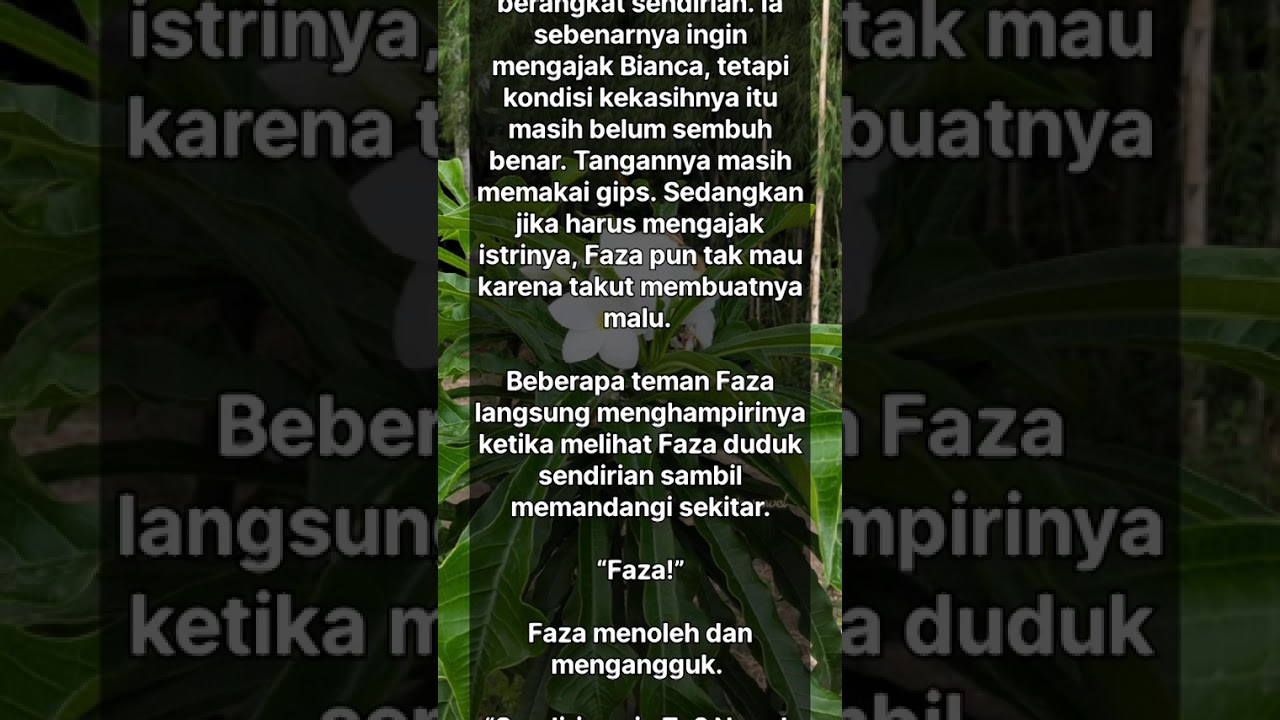 Istri Kampunganku Ternyata Kaya dan Terkenal 