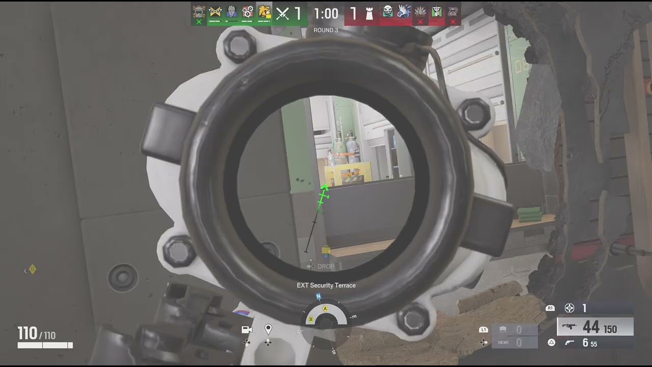 Lion R6