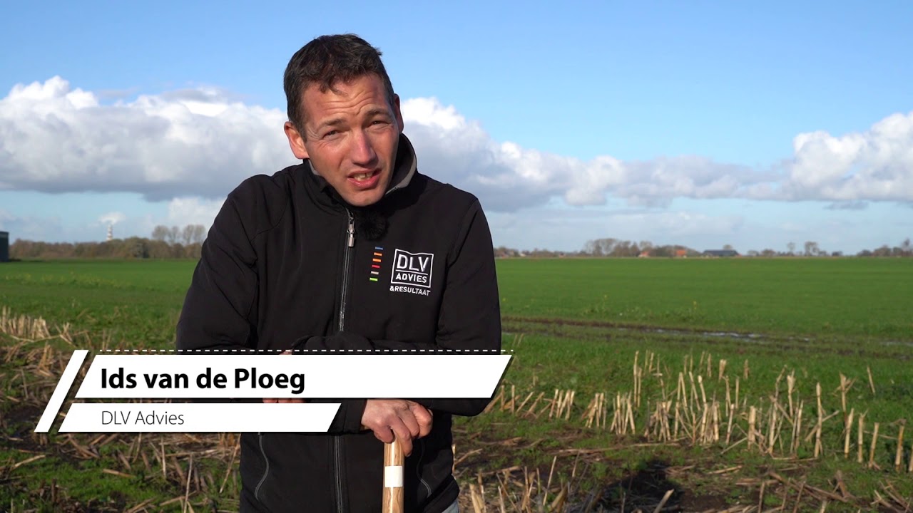 Drijfmest in de rij met strip-till voor het verduurzamen van de maisteelt