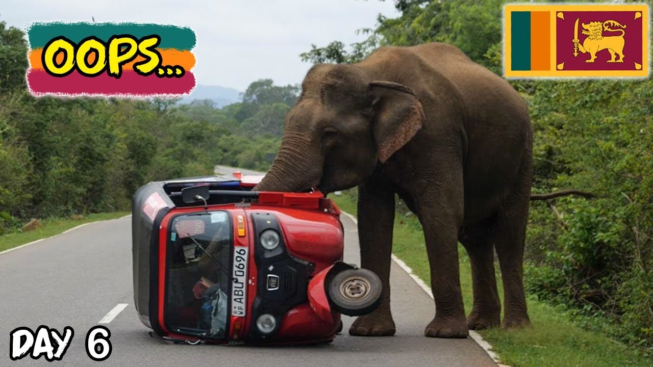 Sri Lanka Tuktuk Tournament Day 6 | Surviving Wild Elephants