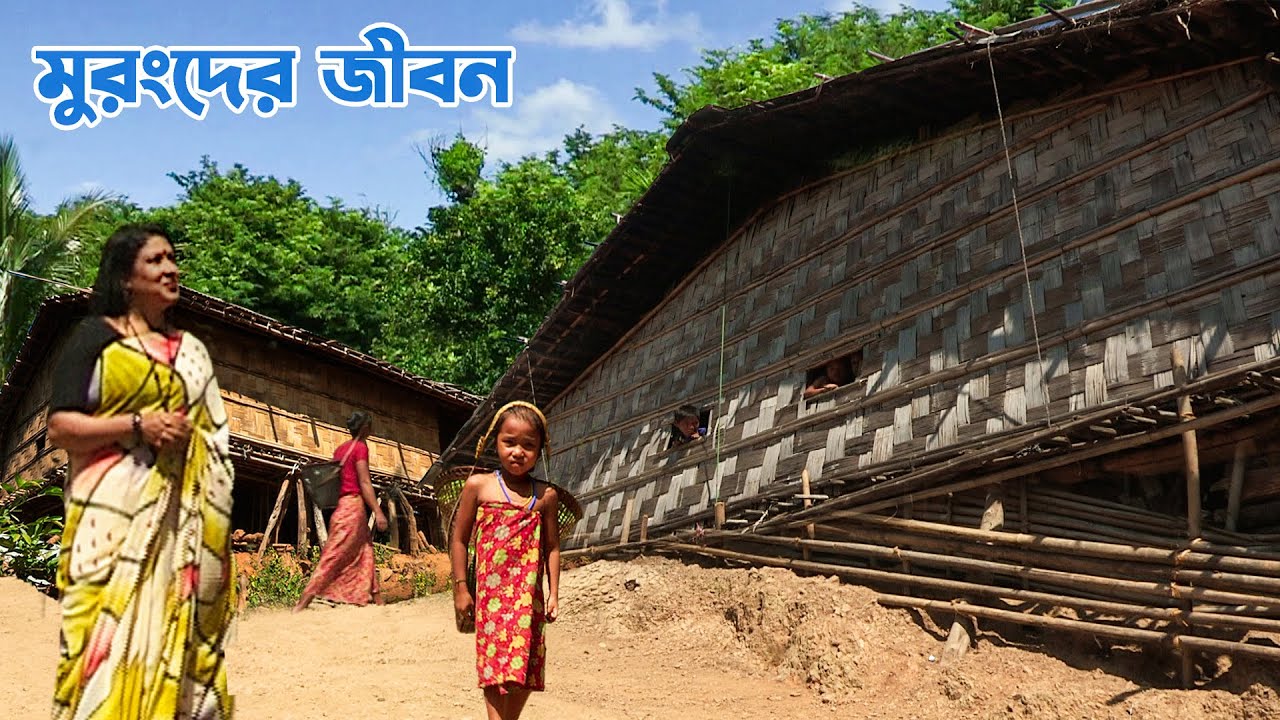 বান্দরবানের দুর্গম পাহাড়ের গায়ে ভাঁজে মুরংদের জীবন || Mro Life in the Folds of Bandarban Hill Tract