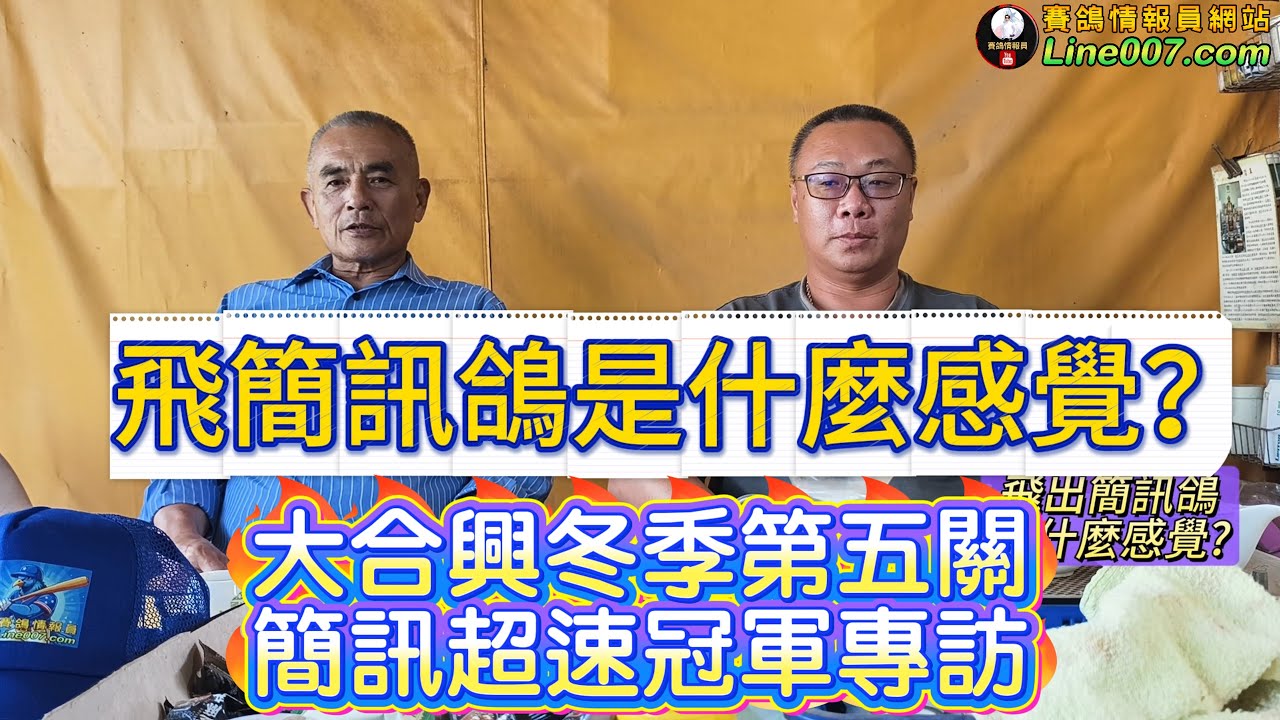 飛出簡訊鴿的感覺？大合興冬季第五關單關冠軍專訪 #朝旭競翔 #宋建霆 #于建欽 #賽鴿 #鴿子 #種鴿 #強豪
