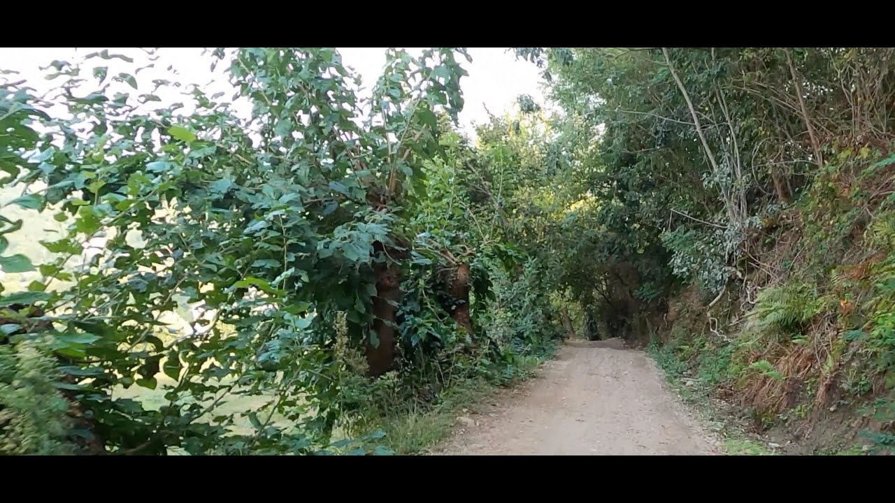 E-MTB COLLI EUGANEI Carabiniera/ Terre Bianche...