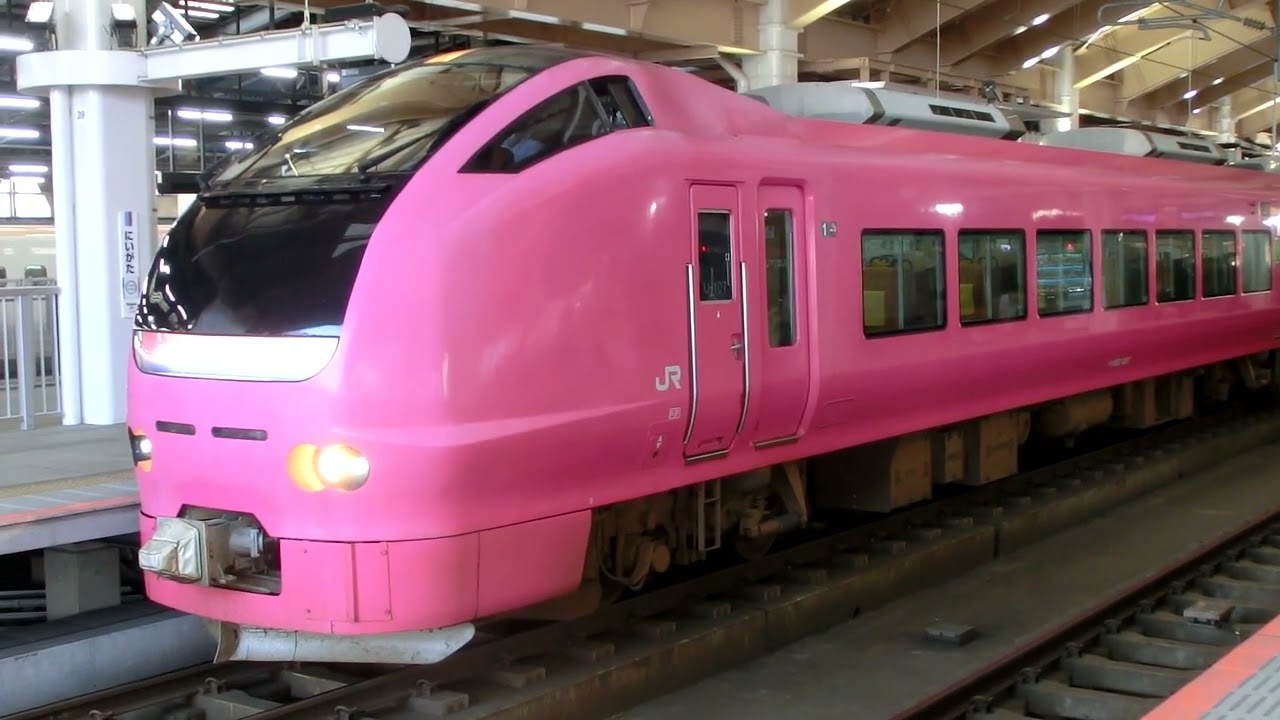 E653系(ハマナス色)　特急いなほ号酒田行　新潟駅発車