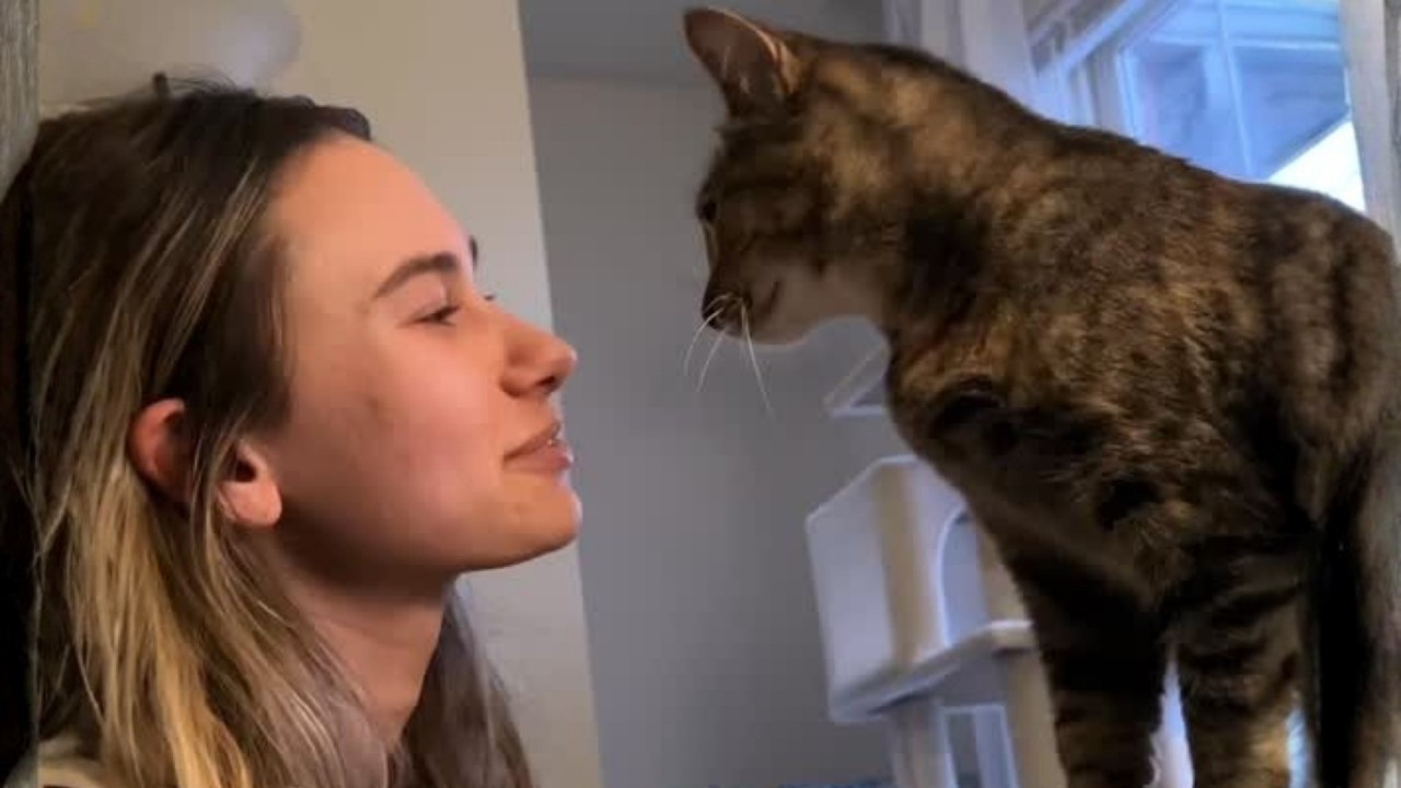This Cat Can’t Stop Talking to Her Human