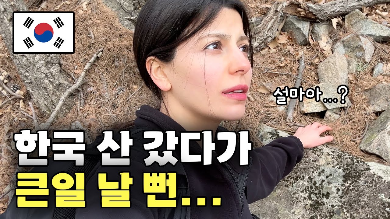한국 산에서 ’이것‘ 발견하면 도망치라는데? 몰랐으면 큰일 날 뻔…