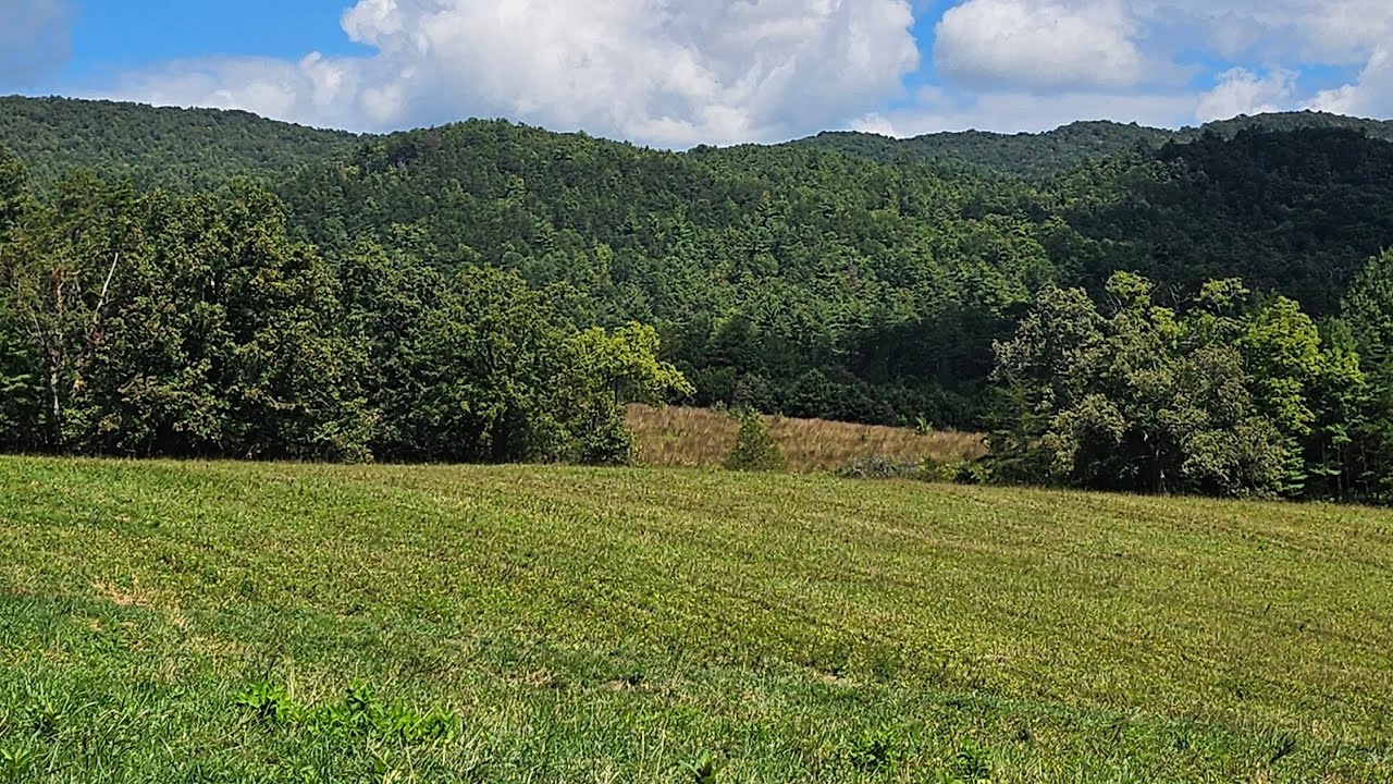 🚗 Scenic Drive Through Cades Cove | Great Smoky Mountains National Park