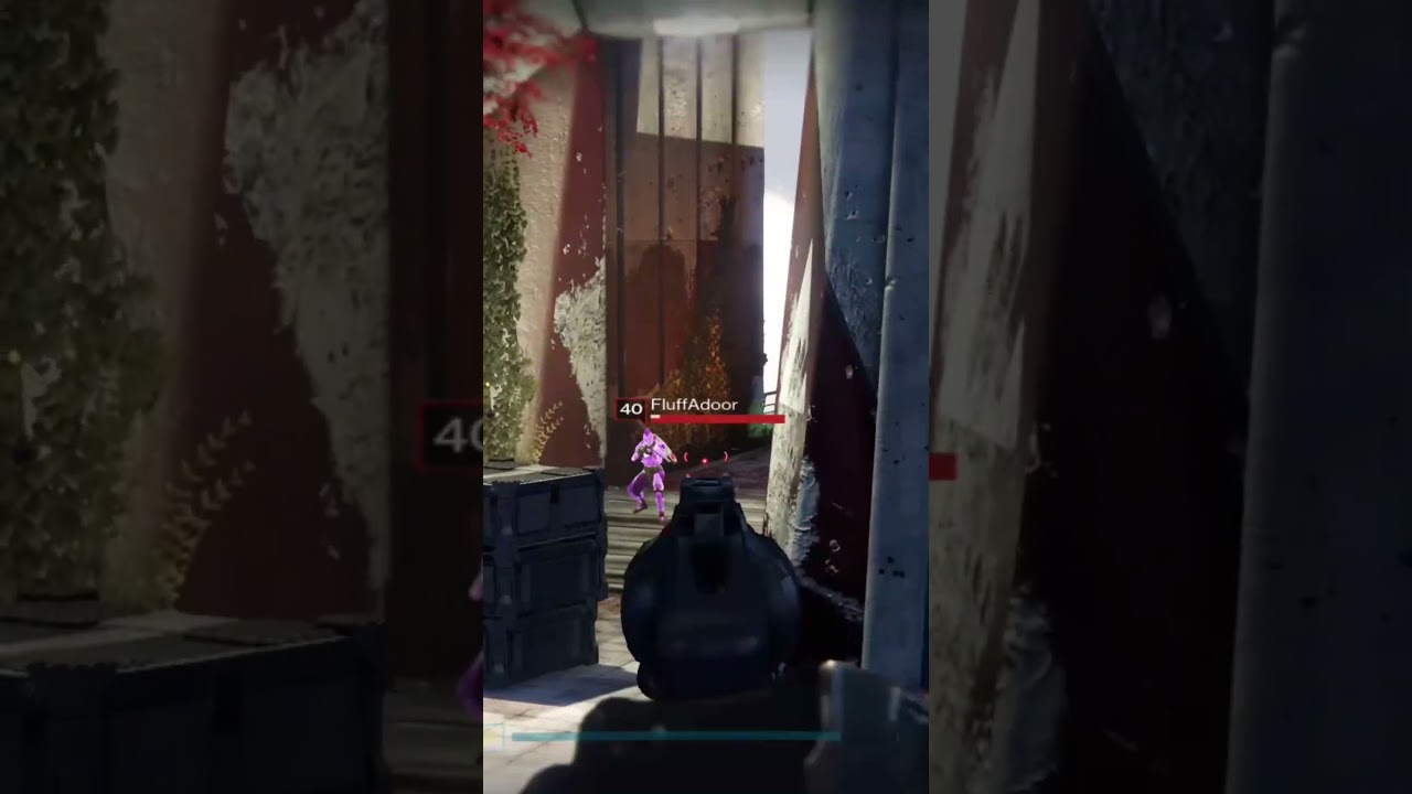 Nobody Remembers how Crazy Broken D1 Lightning Grenades were.