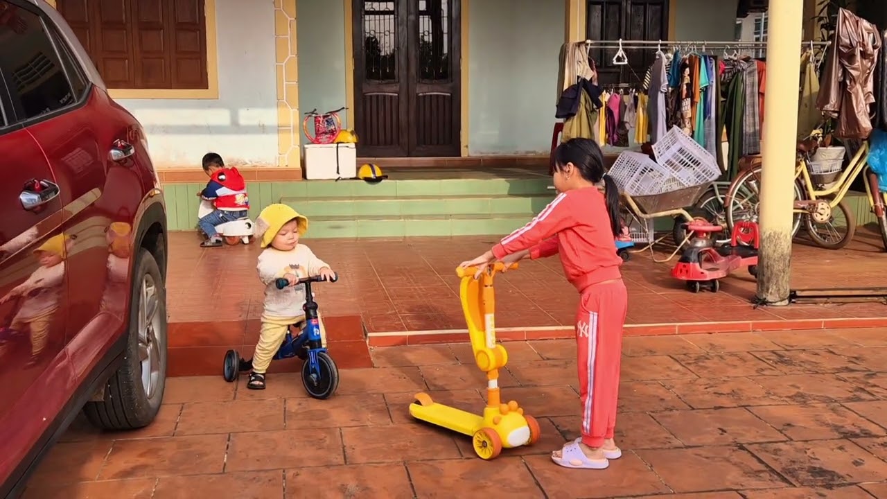 Bơ 17 tháng chơi cùng thiện, heo