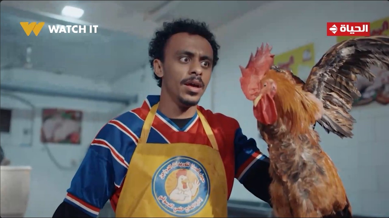 بيبو - سامحني يا صاحبي😅 .. لما تعمل عقلك بعقل ديك😂😂💥