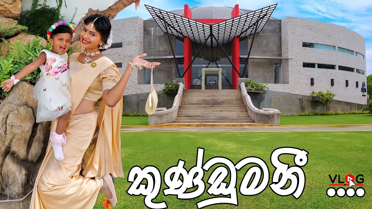 vlog | තරු 5 හොටෙල් එකේ තිබුන තරු විසිවෙන wedding 🌟🌟 එක #vlog #shoppingvlog