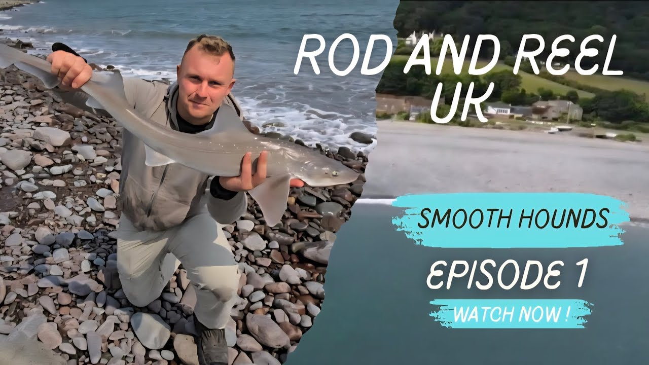 Shore fishing UK : Bristol channel smooth hounds!