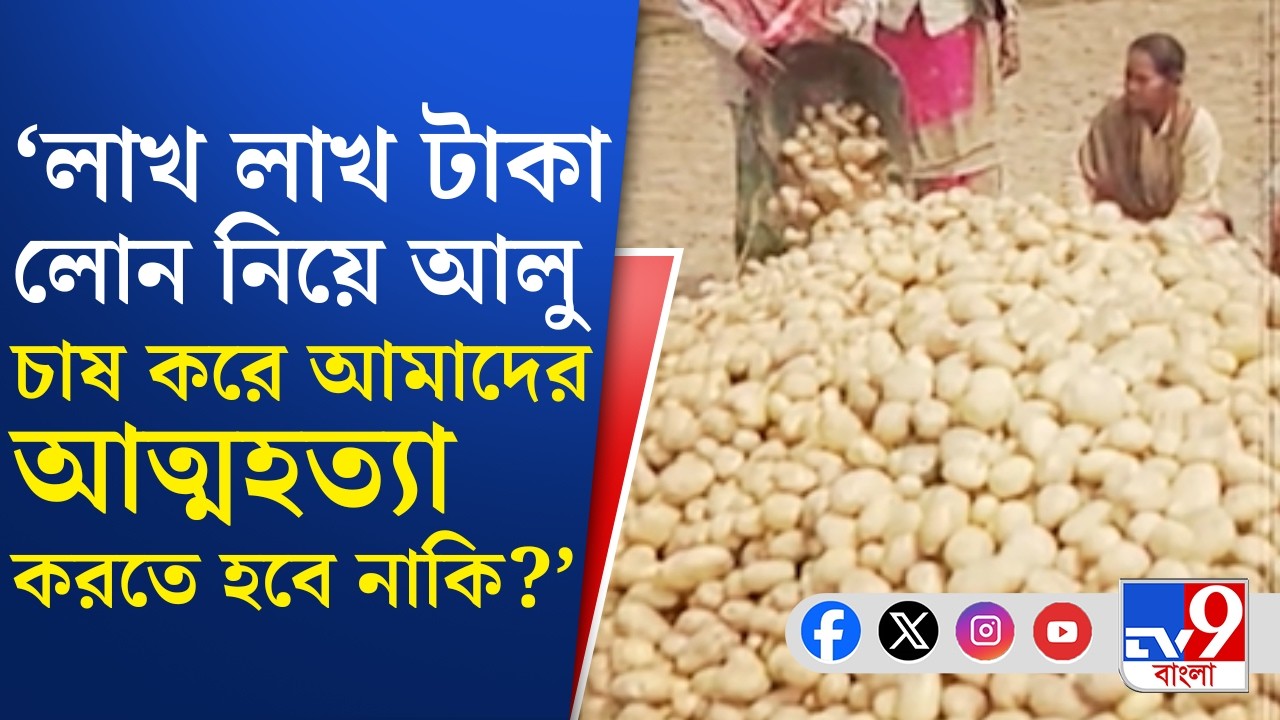 Potato Farmer Issue: আলুর মতো চাষির জীবনেরও দাম নেই? | TV9 Bangla